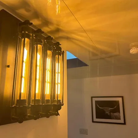 Park Tiny Loft Bed Apartment Dublin