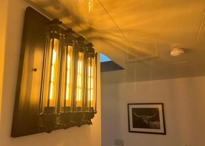 Park Tiny Loft Bed Lejlighed Dublin